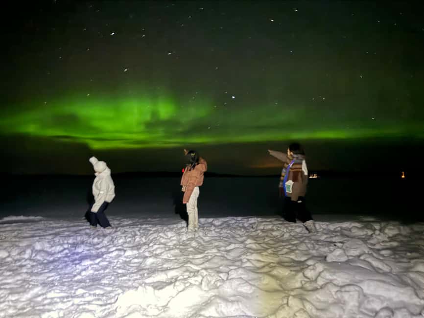Rovaniemi:Northern Lights Hunt in Lapland Wilderness - Key highlights that matter in real life