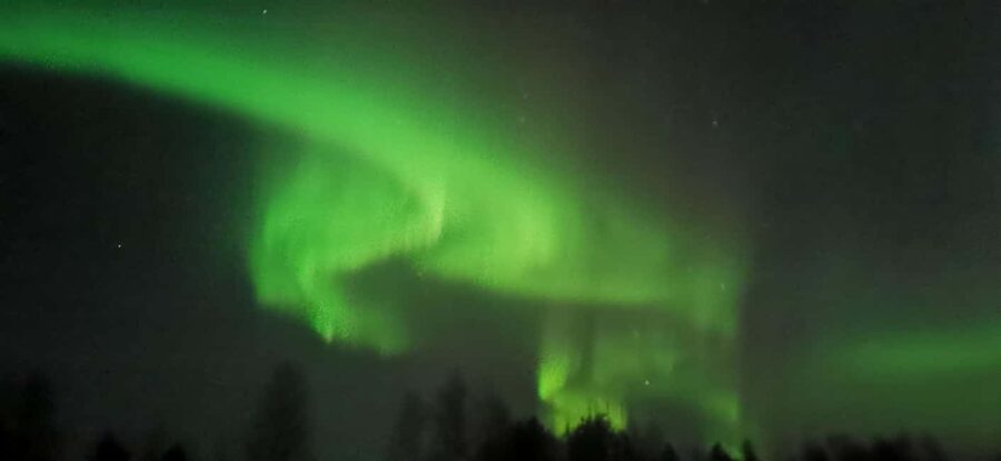 Rovaniemi:Northern Lights Hunt in Lapland Wilderness - What You Get for $147: Value in Time, Guidance, and Transportation