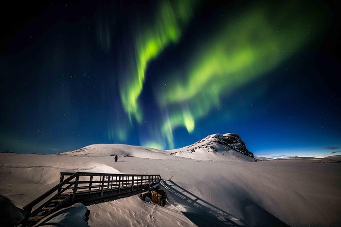 Rovaniemi Northern Lights Photography Small-Group Tour - The photography part: real coaching, not just a lookout