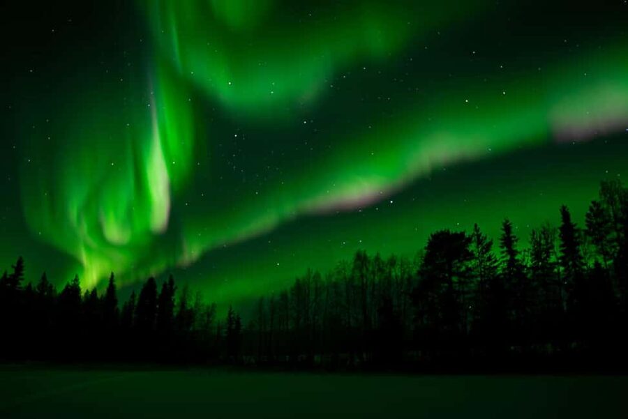Rovaniemi: Northern Lights Photography Tour & BBQ - Price and value: what $104 covers, and who gets the best deal