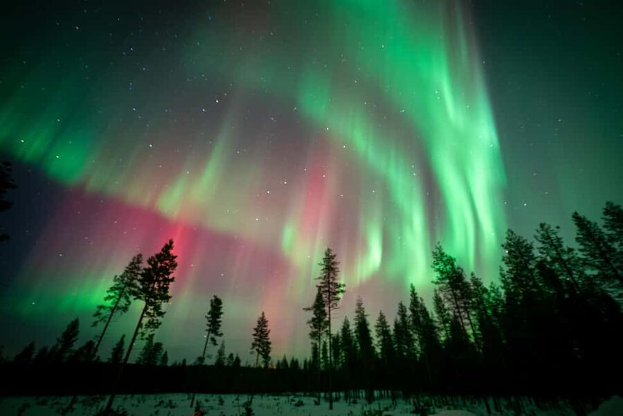 Rovaniemi: Northern Lights Photography Tour & BBQ - Who should book, and who might want another option