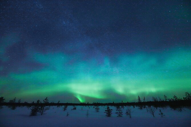 Rovaniemi: Northern Lights Pro Guaranteed - Unlimited Distance - Photo support that actually changes how your pictures turn out