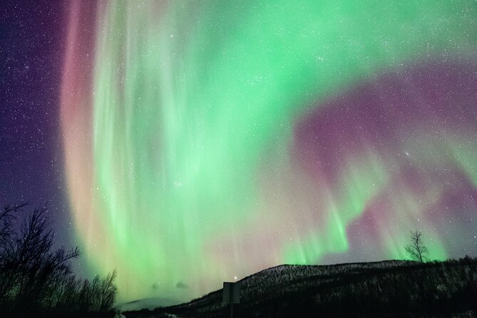 Rovaniemi: Northern Lights Pro Guaranteed - Unlimited (PRIVATE) - How Northern Lights Pro Guaranteed Works in Rovaniemi