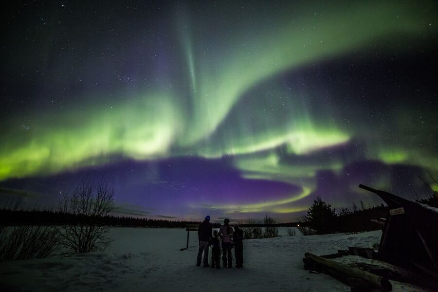 Rovaniemi: Northern Lights Sledge Ride - Key things that make this sledge ride worth your time