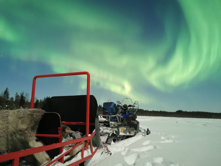 Rovaniemi: Northern Lights Sledge Ride - Guides, small details, and why this feels well run