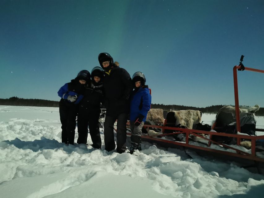Rovaniemi: Northern Lights Sledge Ride - Price and value: is $90 fair for what you get?