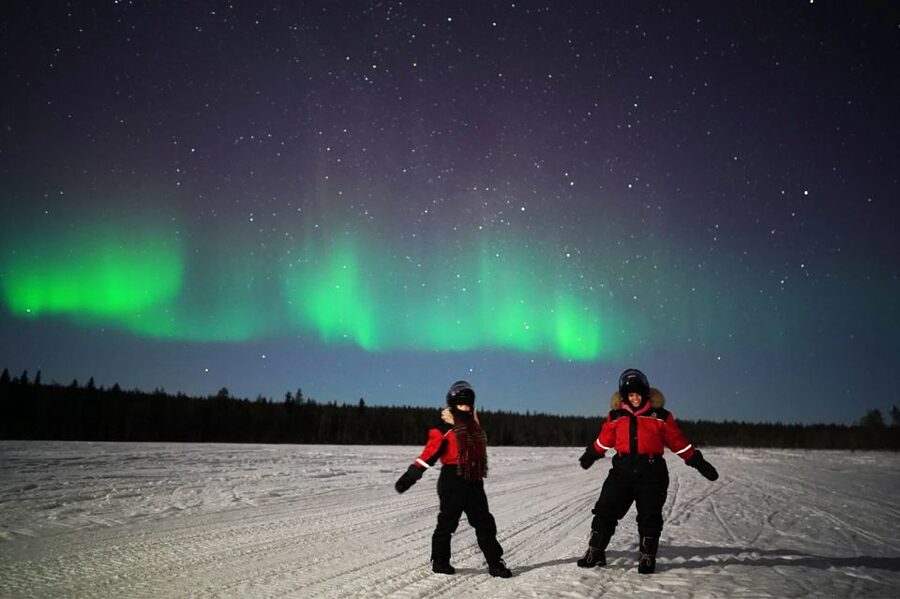 Rovaniemi: Northern Lights Sleigh Ride - Key points before you go