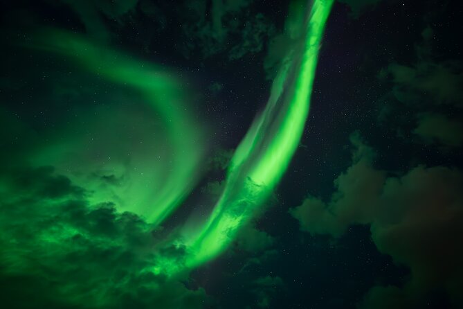 Rovaniemi: Northern Lights Small Group Money-Back Guarantee - Who Should Book This, and Who Might Want a Different Style
