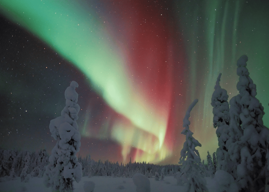 Rovaniemi: Northern Lights Snowmobile Safari with Campfire - Key Highlights Worth Getting Excited About