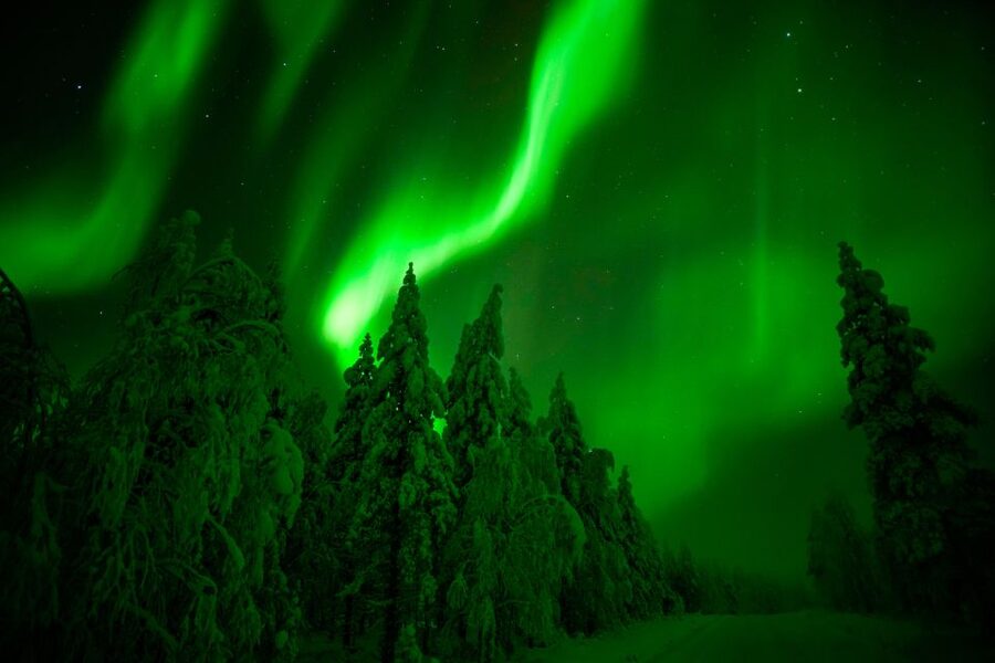 Rovaniemi: Northern Lights Snowmobile Tour - The driving experience: what sharing a snowmobile feels like