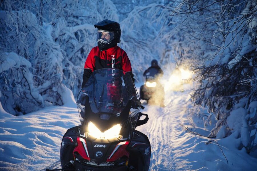Rovaniemi: Northern Lights Snowmobile Tour - Campfire barbecue and the aurora chat: the warm pause that makes the night easier