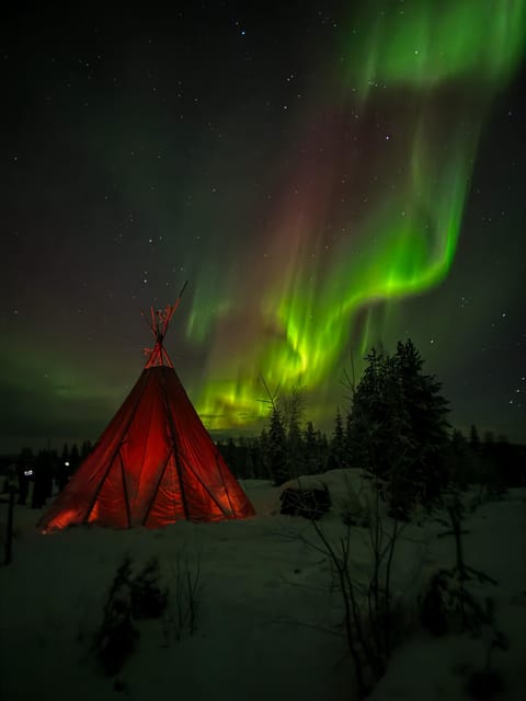 Rovaniemi: Northern Lights Tour at the Campfire - Who should book this campfire Aurora tour