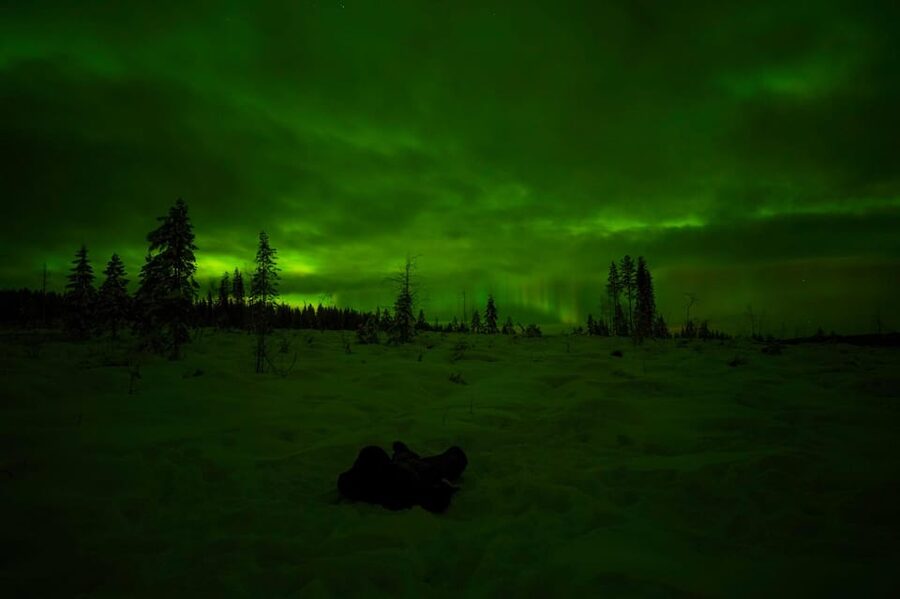 Rovaniemi: Northern Lights Tour at the Campfire - The forest camp: enclosed teepee, firelight snacks, and watching the sky