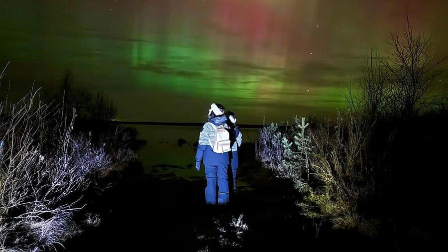 Rovaniemi: Northern Lights Tour with BBQ - Key Things I’d Plan Around