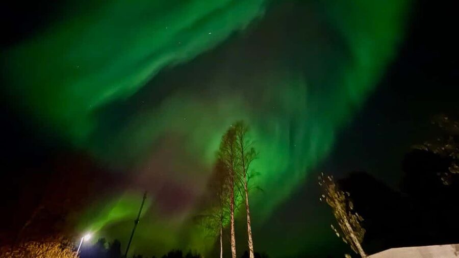 Rovaniemi: Northern Lights Tour with BBQ - Guide, Photos, and Making the Aurora Moment Less Stressful