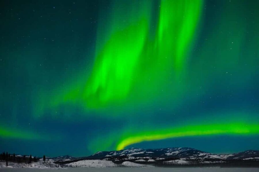 Rovaniemi: Northern Lights Tour with BBQ - Who Should Book This Tour, and Who Might Pass