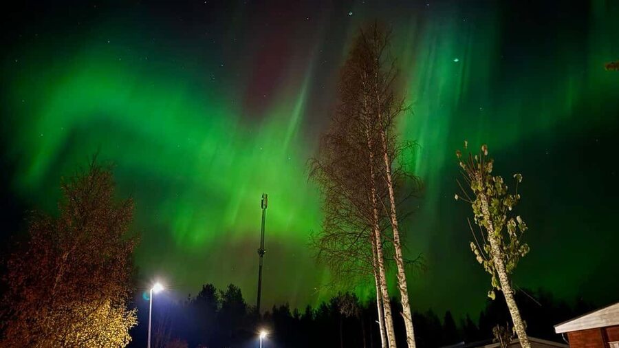 Rovaniemi: Northern Lights Tour with BBQ - Should You Book This Northern Lights Tour With BBQ?