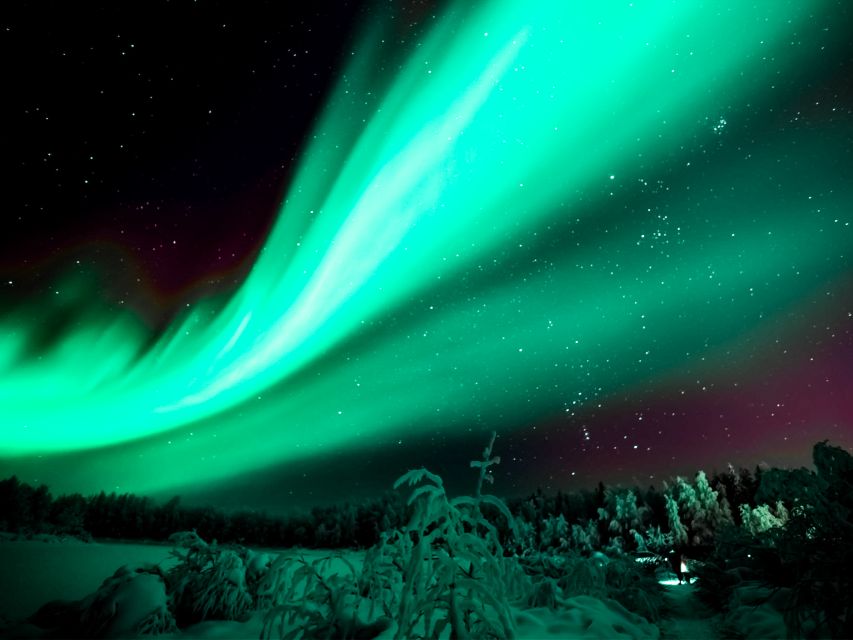 Rovaniemi: Northern Lights Tour with Guaranteed Sightings - How This Aurora Hunt Stays Serious When Plans Fail