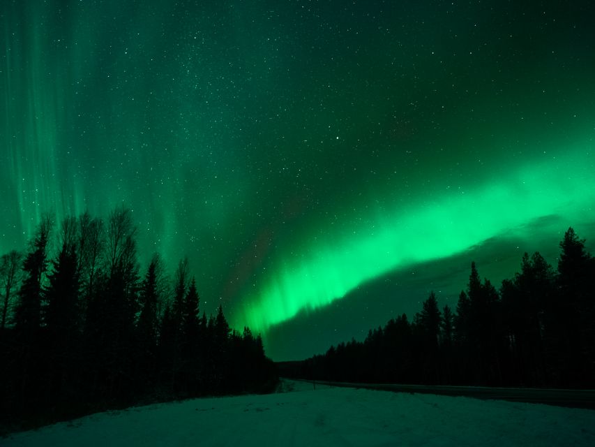 Rovaniemi: Northern Lights Tour with Guaranteed Sightings - Price and Value: Is $164 Worth It for One Night of Sky Magic?