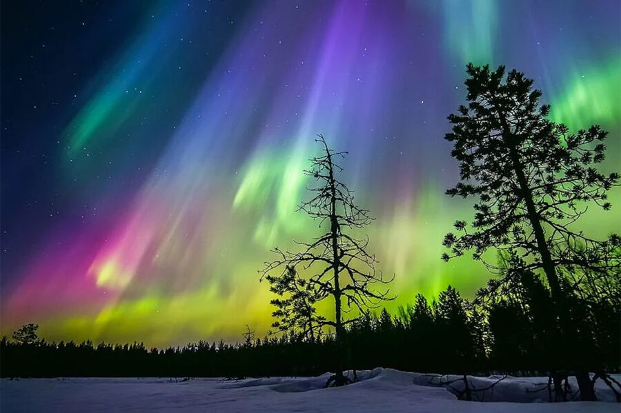 Rovaniemi: Northern Lights Trip with Arctic Sauna & Jacuzzi - Price and value: why $101 can be fair, or feel steep