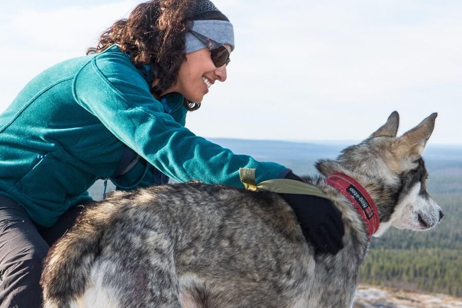 Rovaniemi: One Hour Husky Experience - Heated hut break: hot drink, cookies, and the training story