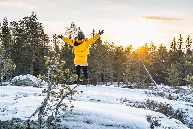 Rovaniemi photography tour - Who should book, and who might prefer a DIY route