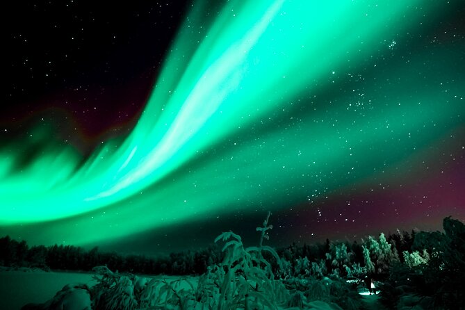 Rovaniemi: Private Aurora Tour with Guaranteed Sightings - Key points before you go