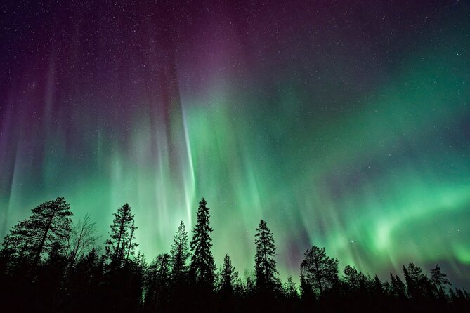 Rovaniemi: Private Aurora Tour with Guaranteed Sightings - What you bring makes or breaks your comfort