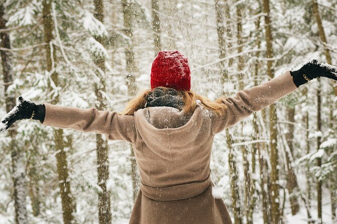 Rovaniemi: Private Winter Wonderland Photoshoot Tour - The Rovaniemi photo route: what your 3 hours can look like