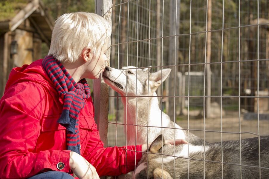 Rovaniemi: Quad Bike Safari, Reindeer & Husky Farm Visit - Key highlights you can plan around