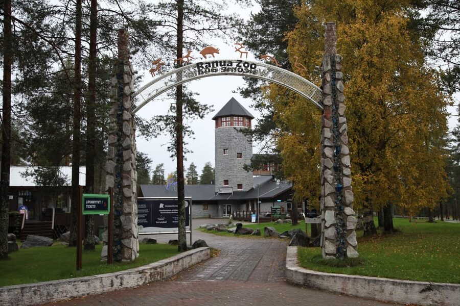 Rovaniemi: Ranua’s Wildlife Park Ticket with Transportation - Quick hits for Ranua Wildlife Park in winter