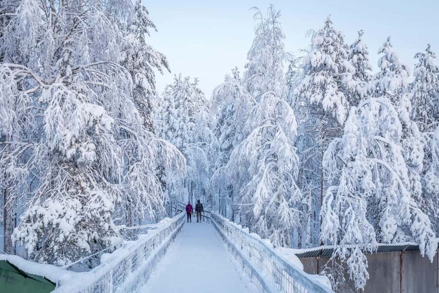 Rovaniemi: Ranua Zoo Wildlife Park Tour with hotel pickup - The 2.5 km zoo trail, plus the pace that keeps you comfortable