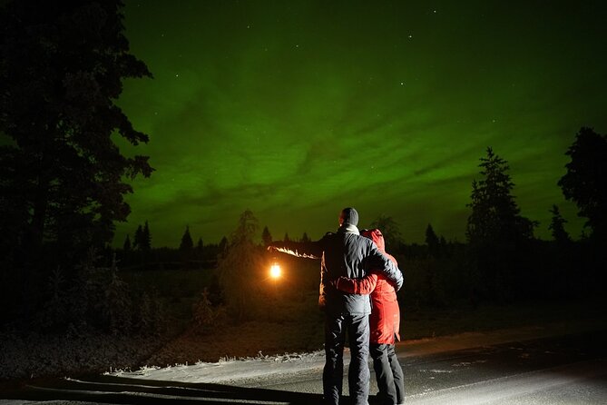 Rovaniemi – Real Northern Lights Hunting Experience (Small Group) - Price and Value: What You’re Really Paying For