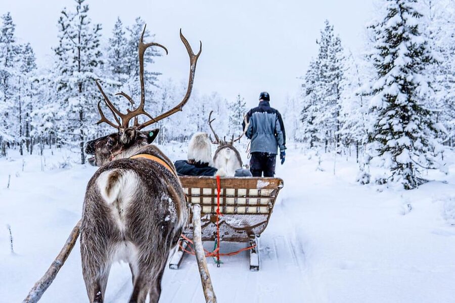 Rovaniemi: Reindeer Farm Visit and Sleigh Ride with transfer - The sleigh ride is exhilarating, but it is not long