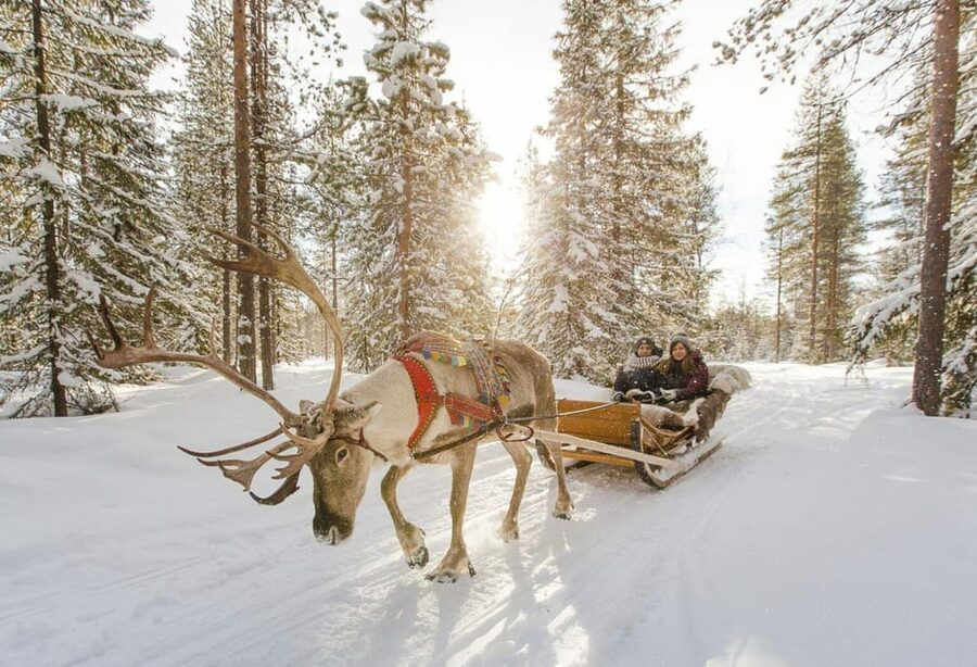 Rovaniemi: Reindeer Farm Visit and Sleigh Ride with transfer - Timing, season, and what changes when it gets colder