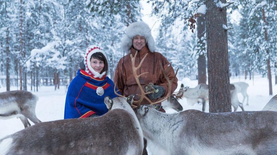 Rovaniemi: Reindeer Farm Visit and Sleigh Ride with transfer - Practical tips to help your experience feel smoother