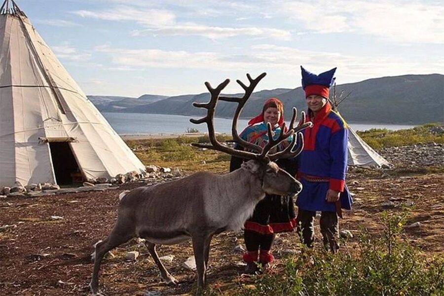Rovaniemi: Reindeer Farm Visit in the Summer - Should You Book This Rovaniemi Reindeer Farm Visit?