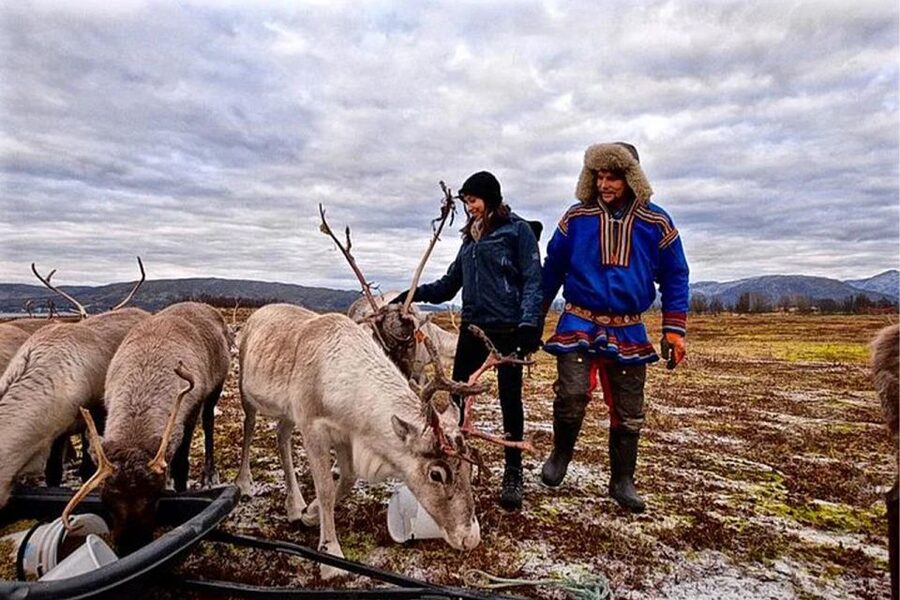 Rovaniemi: Reindeer Farm Visit in the Summer - Pickup at Nordic Unique Travels in Front of Rosso