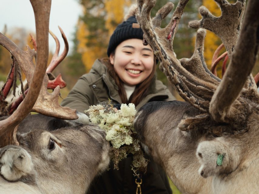Rovaniemi: Reindeer Farm Visit with Photographer - The short sleigh ride: fun, but plan for limited time