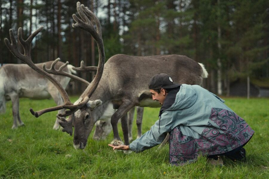 Rovaniemi: Reindeer Farm Visit with Photographer - Price and value: is $139 fair for this format?