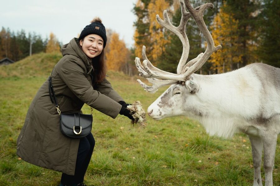Rovaniemi: Reindeer Farm Visit with Photographer - Arriving at the farm: meeting herders and getting the story first