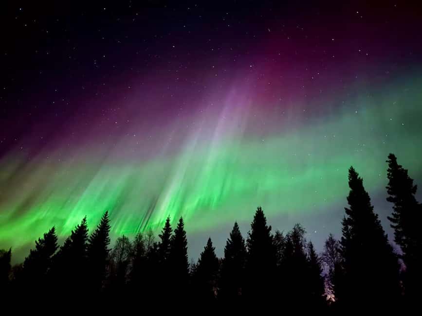 Rovaniemi: Reindeer, Huskies, Santa's Pets & Aurora Hunt - Who this tour fits best, and who should consider alternatives