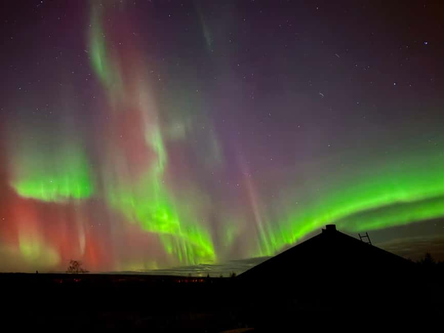 Rovaniemi: Reindeer, Huskies, Santa's Pets & Aurora Hunt - Timing, pickup, and the mid-day break you should plan for