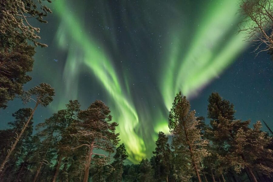 Rovaniemi: Reindeer Safari and Northern Lights Tour - Rovaniemi night magic in 2.5 hours