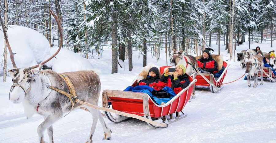Rovaniemi: Reindeer Sleigh Ride with Hot Drink and Cookies - The farm visit: oldest-style reindeer heritage in practice