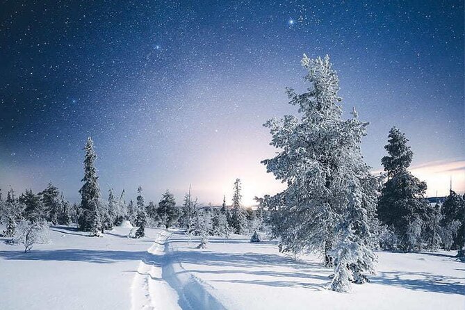 Rovaniemi: Riisitunturi Full-Day Wilderness Adventure & BBQ - Riisitunturi National Park in winter, with tykky snow sculptures