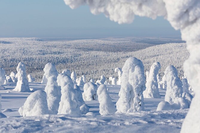 Rovaniemi: Riisitunturi Full-Day Wilderness Adventure & BBQ - Pickup, the 8:00am start, and how to plan your morning