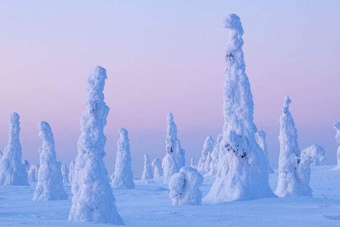 Rovaniemi: Riisitunturi Full-Day Wilderness Adventure & BBQ - The 8-hour rhythm: walking time, photo time, and BBQ time