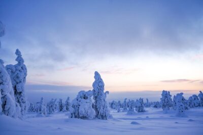 Riisitunturi National Park Day Trip with Lunch