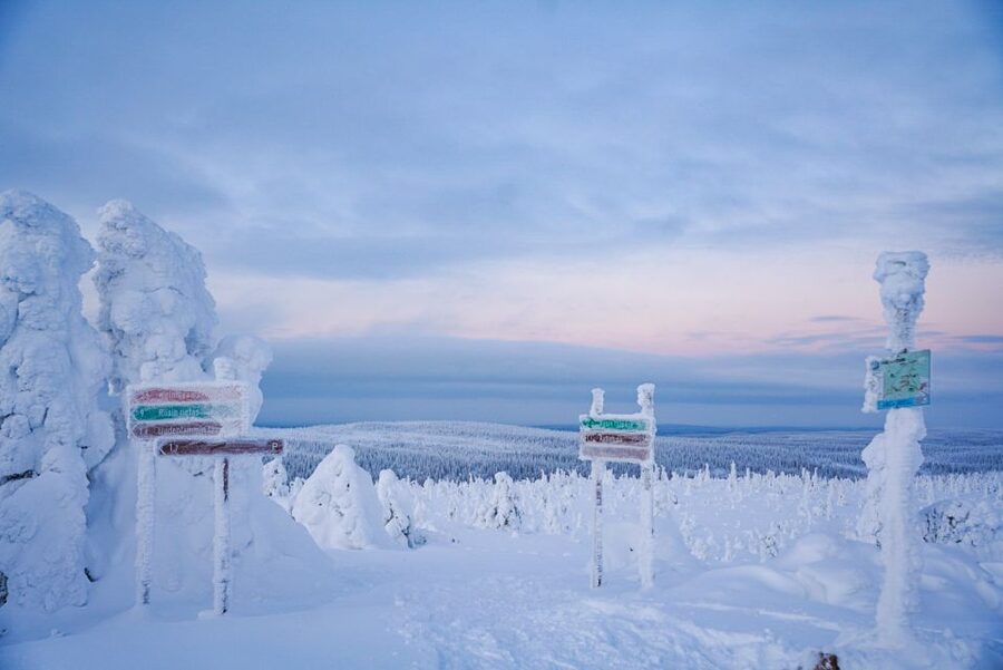 Rovaniemi: Riisitunturi National Park Day Trip with Lunch - Price and Value at $223: What You’re Paying For, and What to Watch